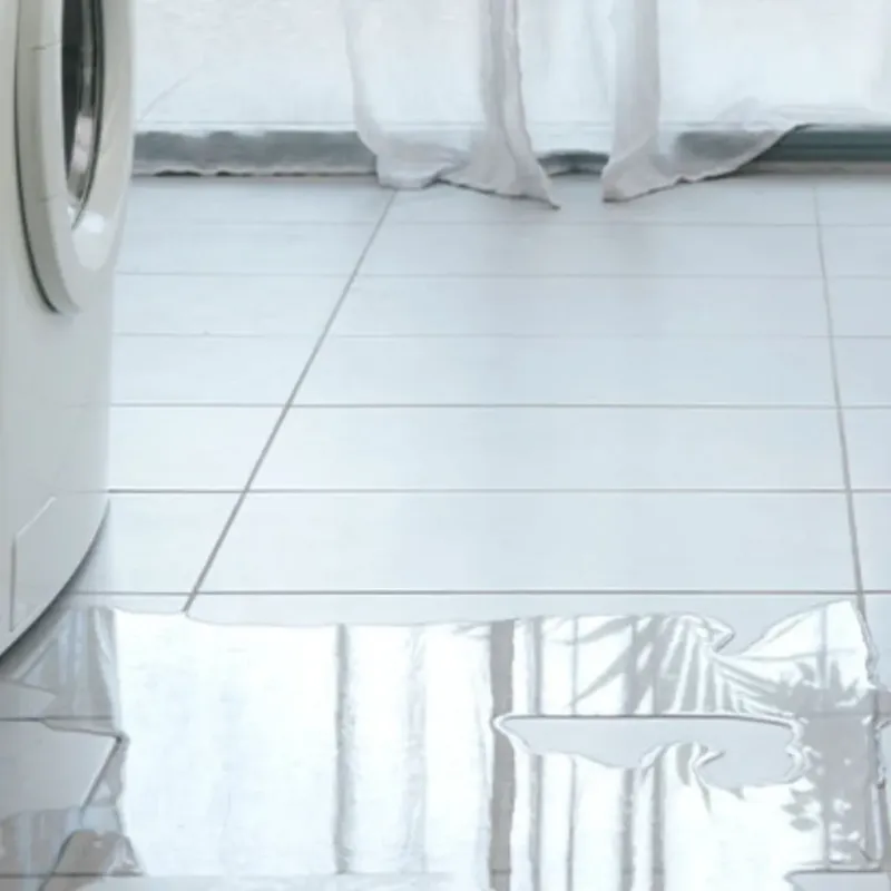Appliance Leak Cleanup in Roswell, NM