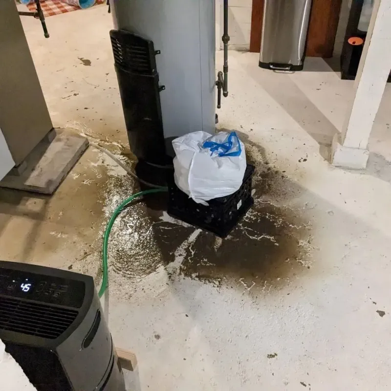 Sewage Backup Cleanup Service in Roswell, NM